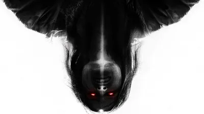 The Exorcists izle