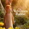 The Velveteen Rabbit fragman izle