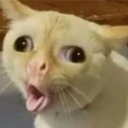 NaberBeyaa adlı kullanıcı